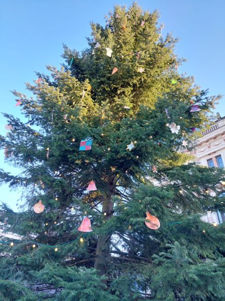 5 Weihnachtsbaum